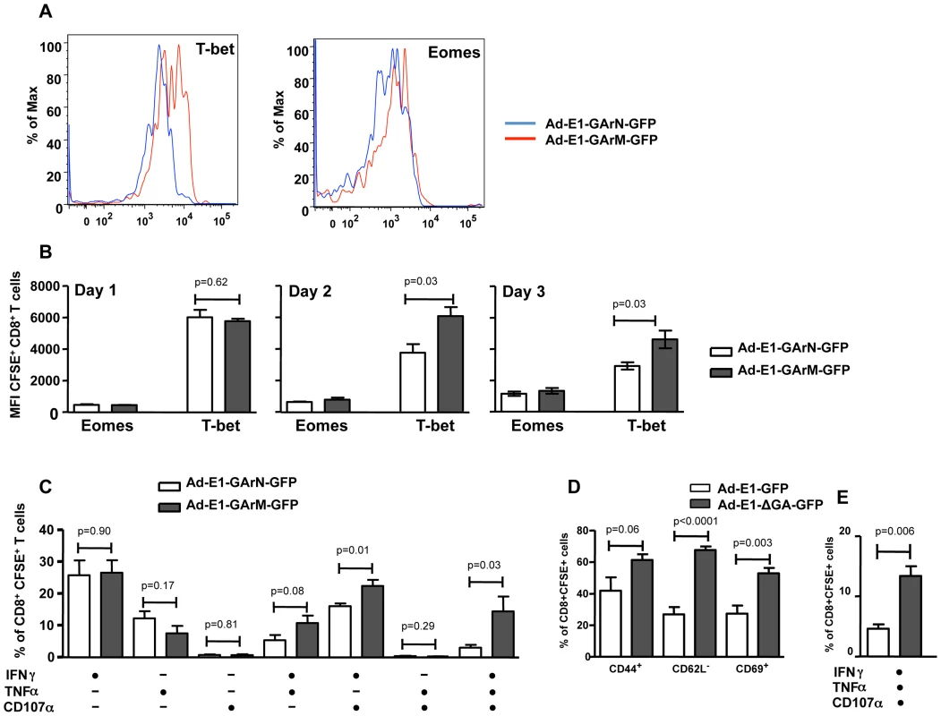 Differential translation of EBNA1 mRNAs impacts on the expression of transcriptional factors and antigen specific functions in Ag-specific T cells from DLNs.