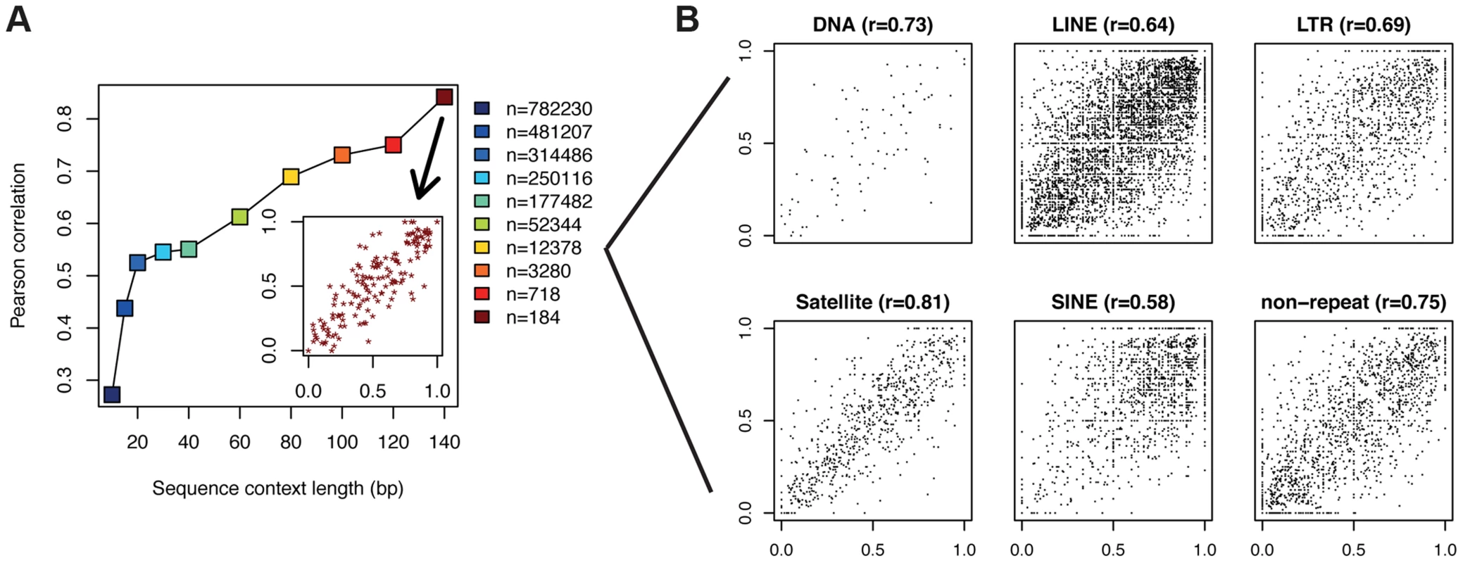 CpGs with identical flanking sequence display similar methylation.