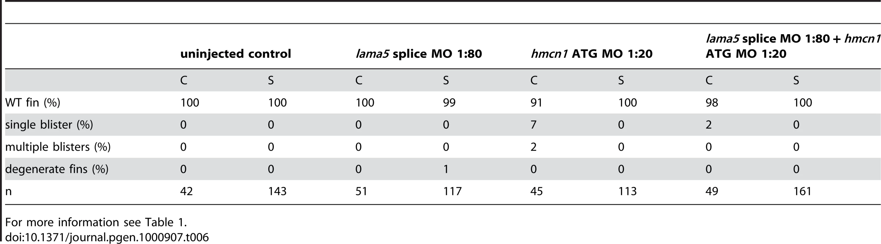 No synergistic interaction between <i>lama5</i> and <i>hmcn1</i>.