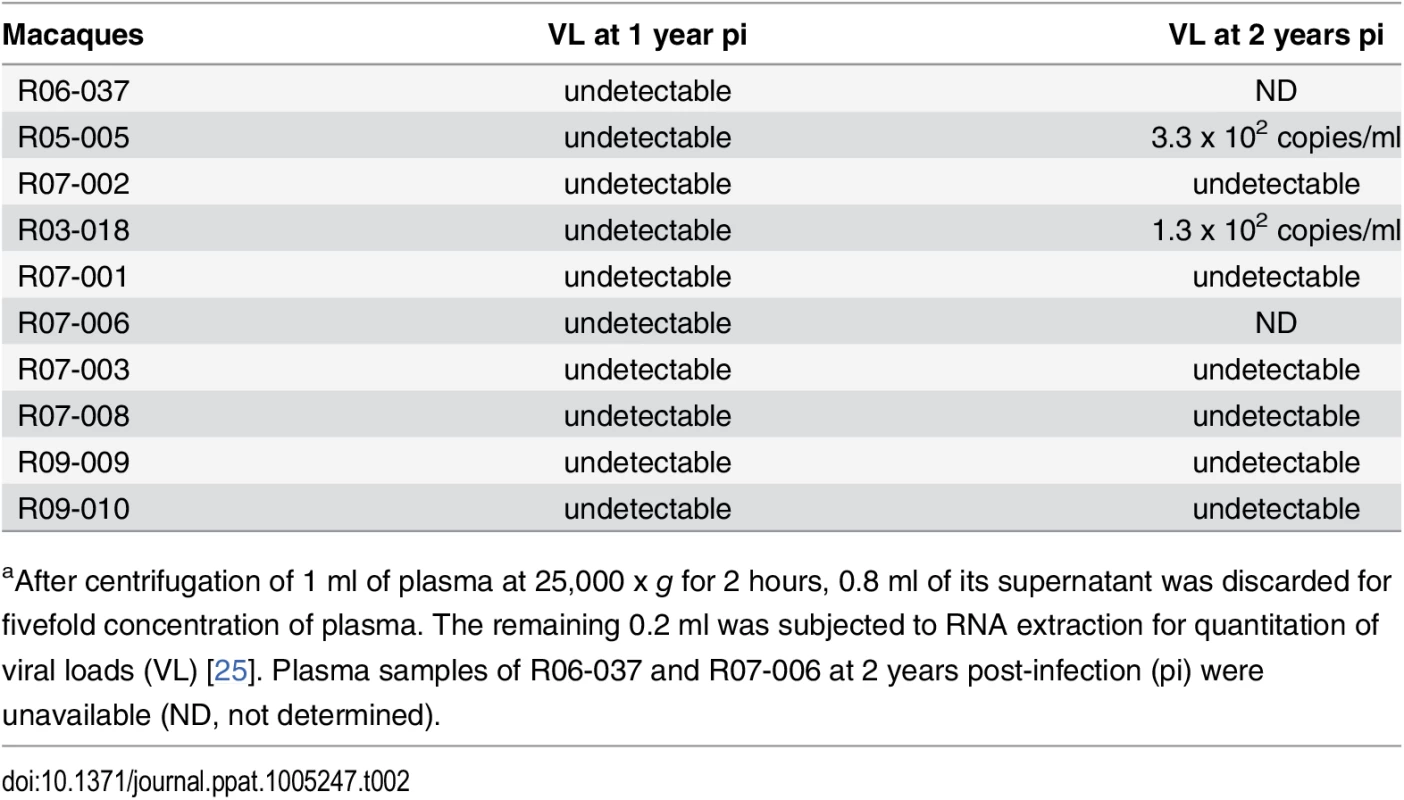 Plasma viral loads determined by using fivefold-concentrated plasma<em class=&quot;ref&quot;><sup>a</sup></em>