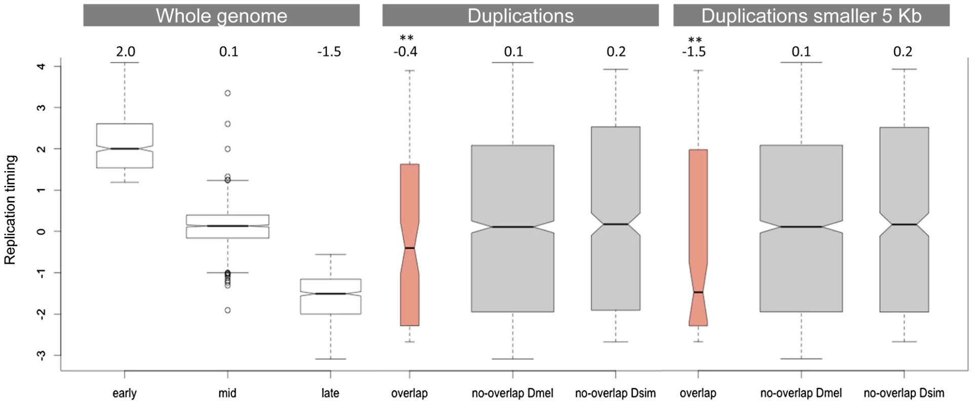 Replication timing of duplications overlapping between <i>D. simulans</i> and <i>D. melanogaster</i>.