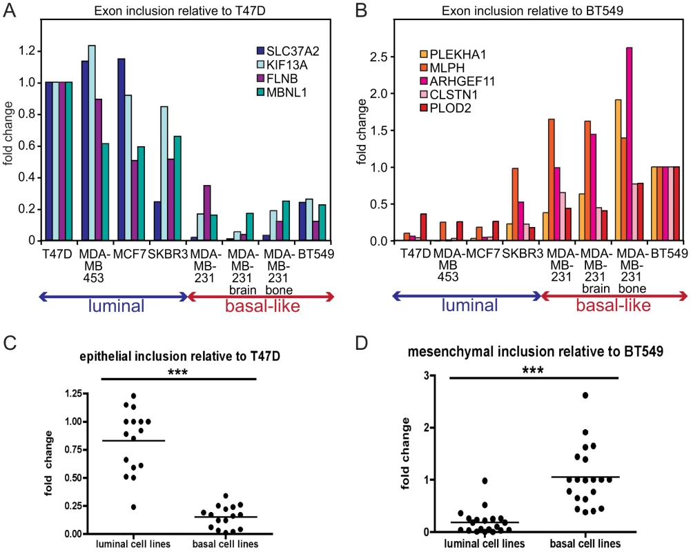 EMT–associated alternative splicing events are confirmed in breast cancer cell lines.