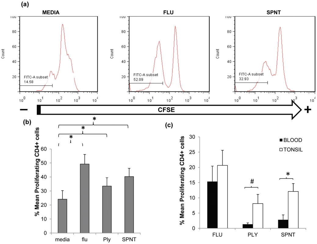 Anti-pneumococcal CD4 T cells proliferative responses in adult tonsils and blood during <i>in vitro</i> pneumococcal peptide antigen challenge.