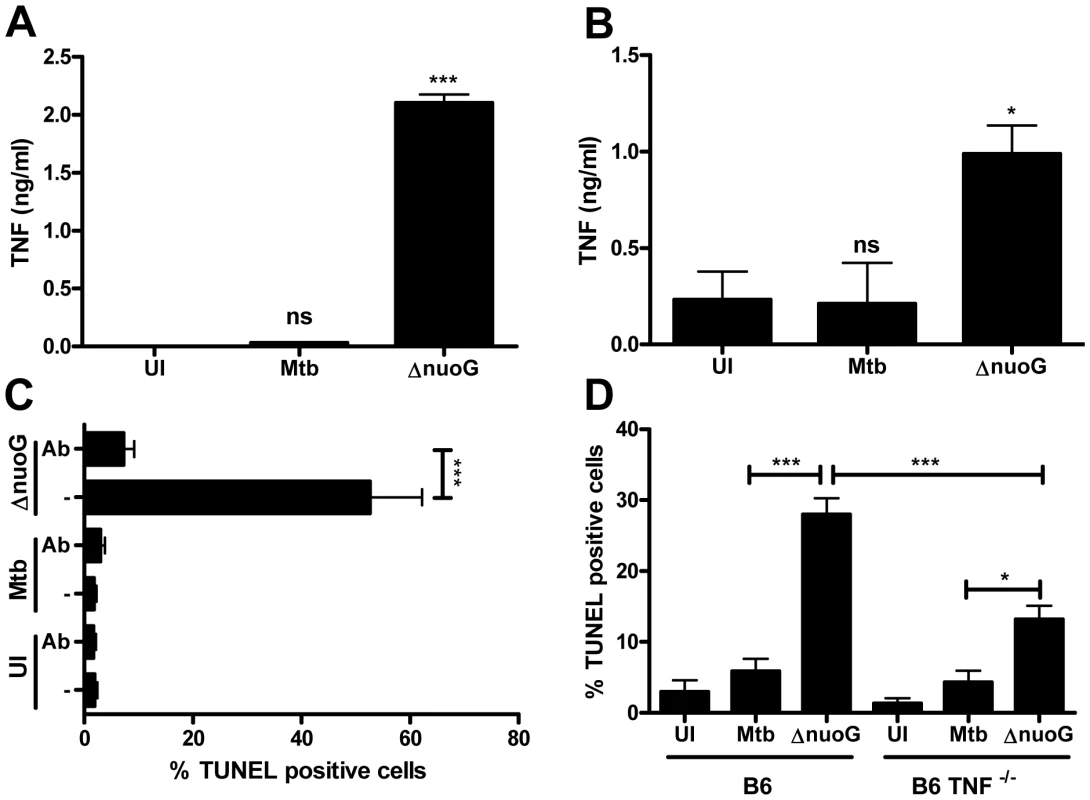 Mtb NuoG mediates inhibition of TNF-α-induced apoptosis and TNF-α secretion.