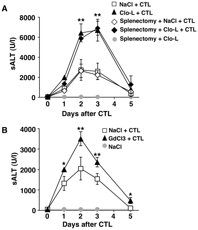 The effects of splenectomy and GdCl3 on liver disease severity.