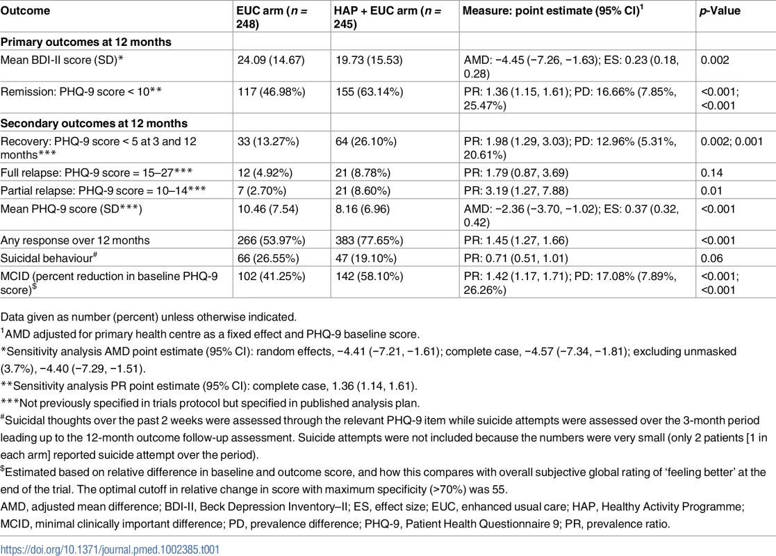 Effects of HAP plus EUC compared with EUC alone on primary and secondary clinical outcomes at 12 months.