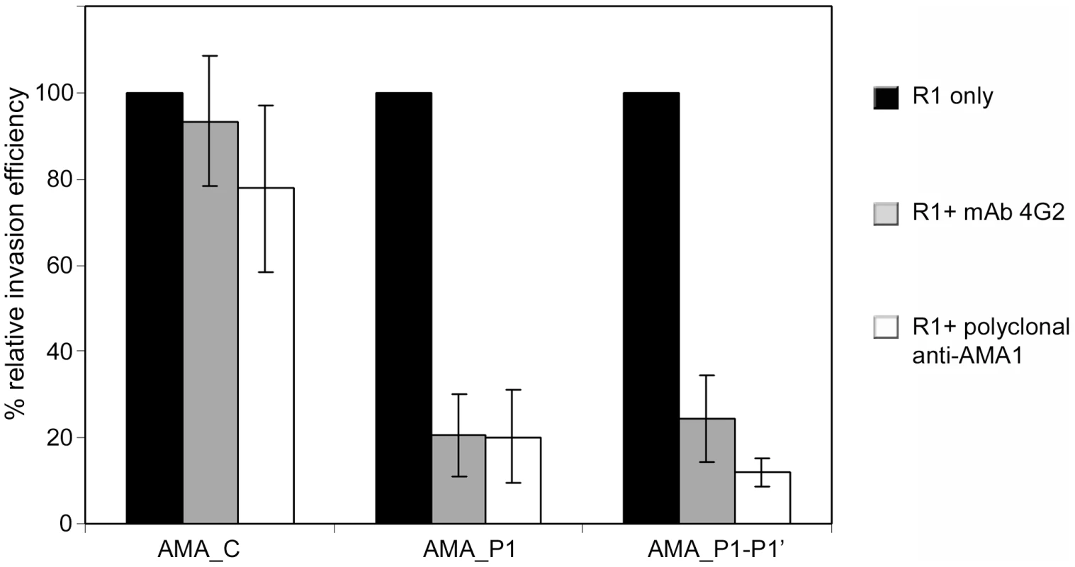 Mutations that prevent PfSUB2-mediated shedding of PfAMA1 increase sensitivity to invasion-inhibitory anti-PfAMA1 antibodies.