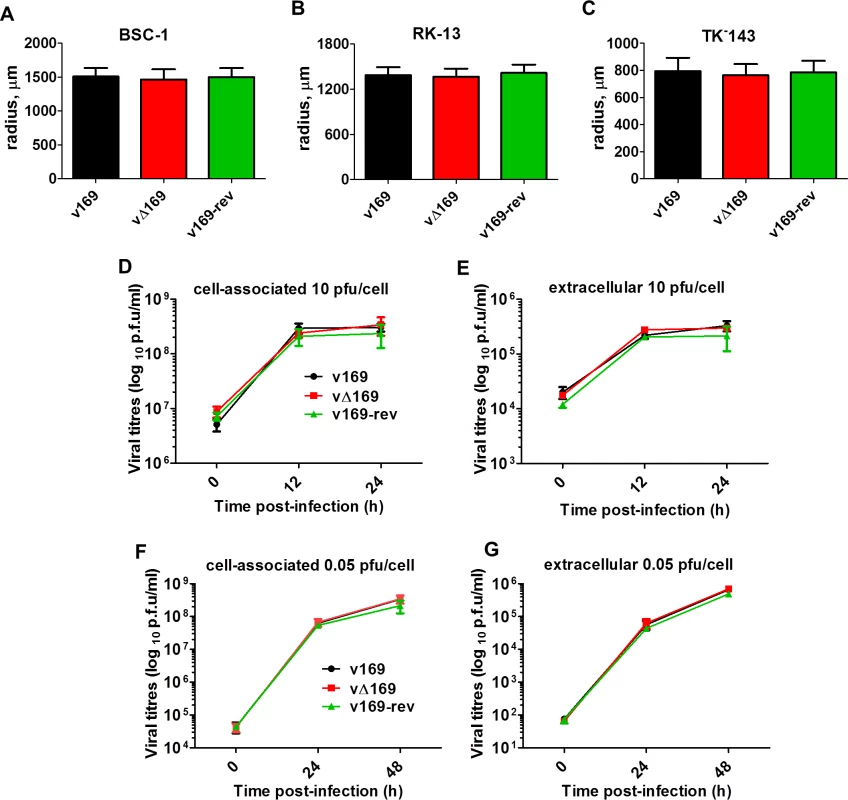 Protein 169 does not affect virus replication or spread <i>in vitro</i>.