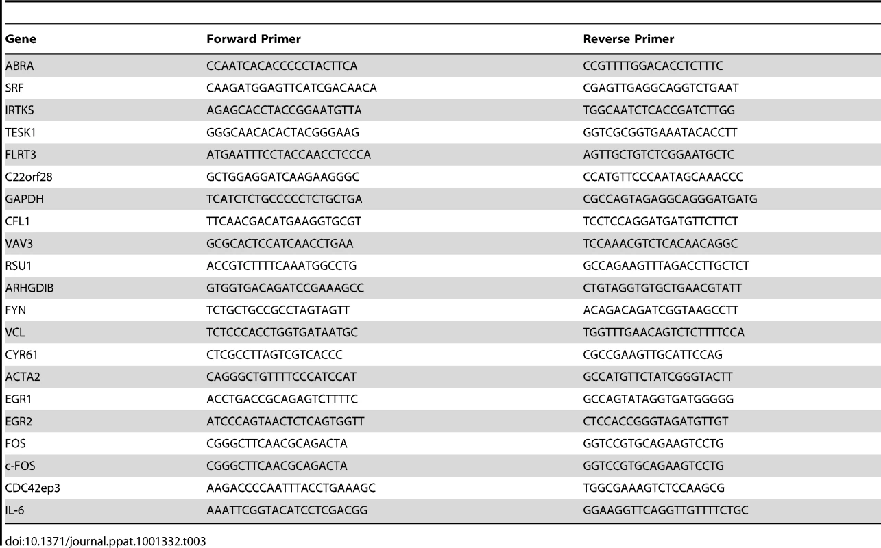 RT-PCR primer sequences.