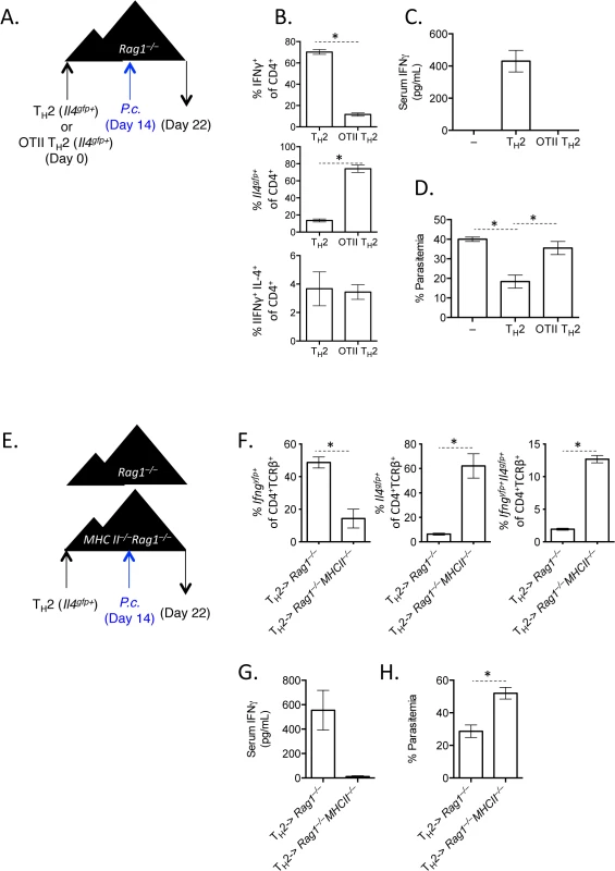 TCR stimulation is critical for IFNγ production by Th2 cells.