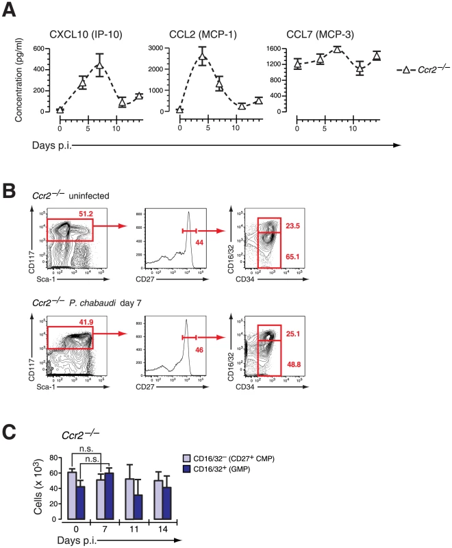 <i>Ccr2</i>-null mice induce IFN-γ-dependent chemokines but do not mobilize early myeloid progenitors.