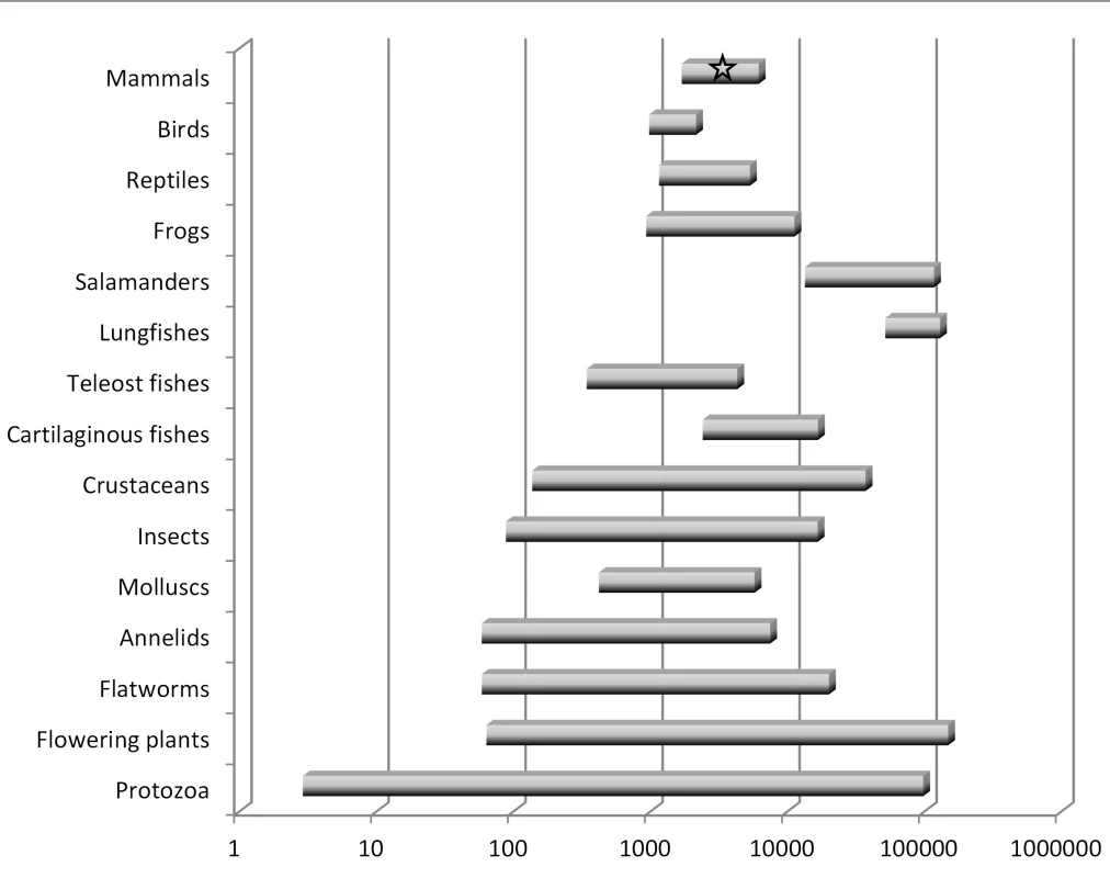 Summary of haploid nuclear DNA contents (“genome sizes”) for various groups of eukaryotes.