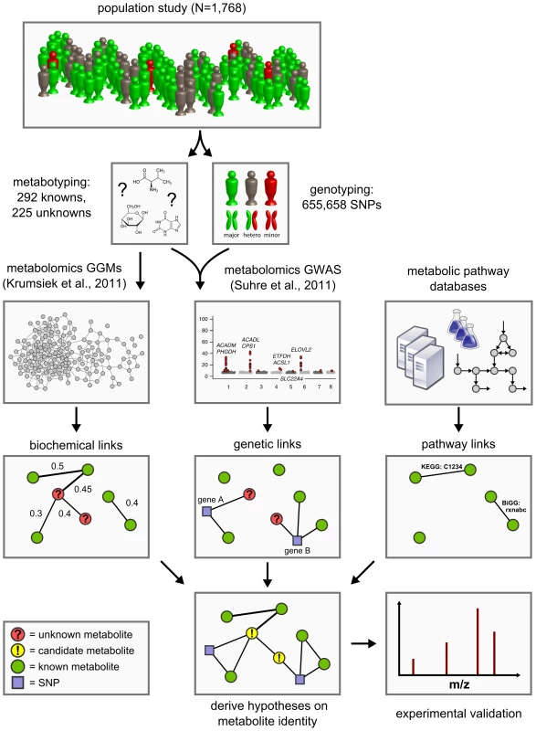 Data integration workflow for the systematic classification of unknown metabolites.