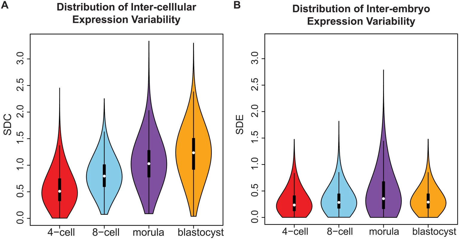 Distribution of gene expression variability during embryonic development.