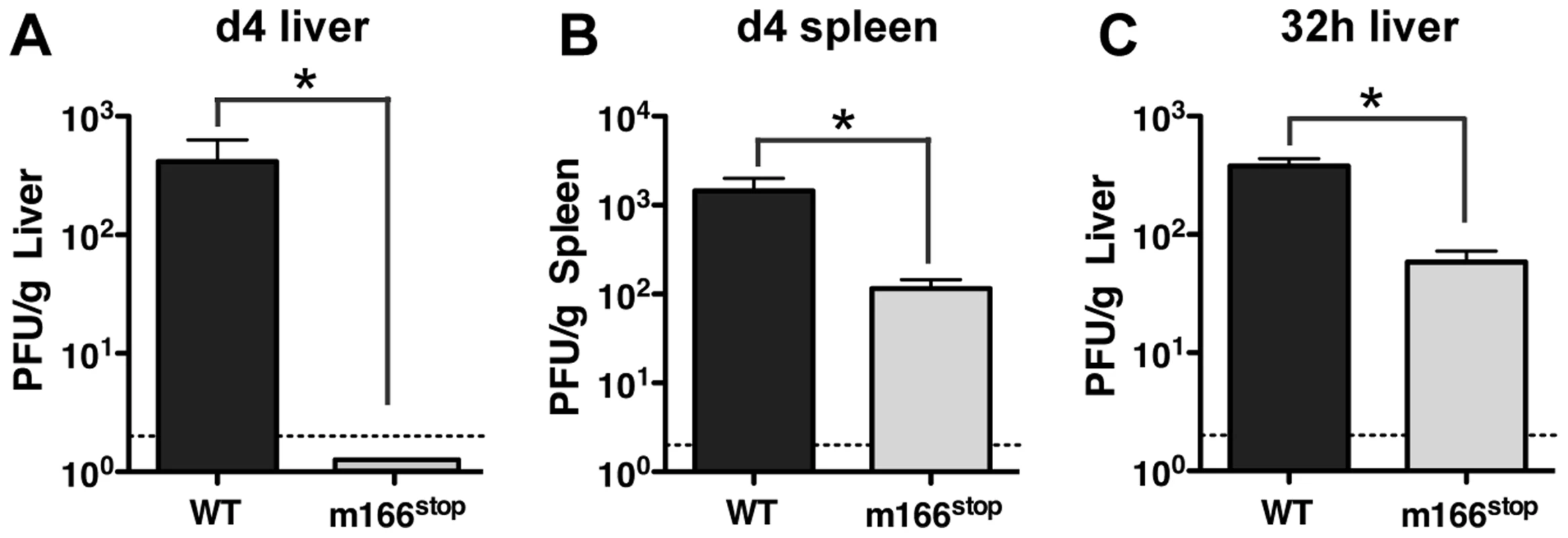 m166 is crucial for <i>in vivo</i> replication of MCMV.