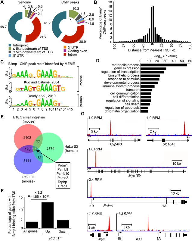 ChIP-seq analysis of genome-wide Blimp1 binding sites in E18.5 small intestine.