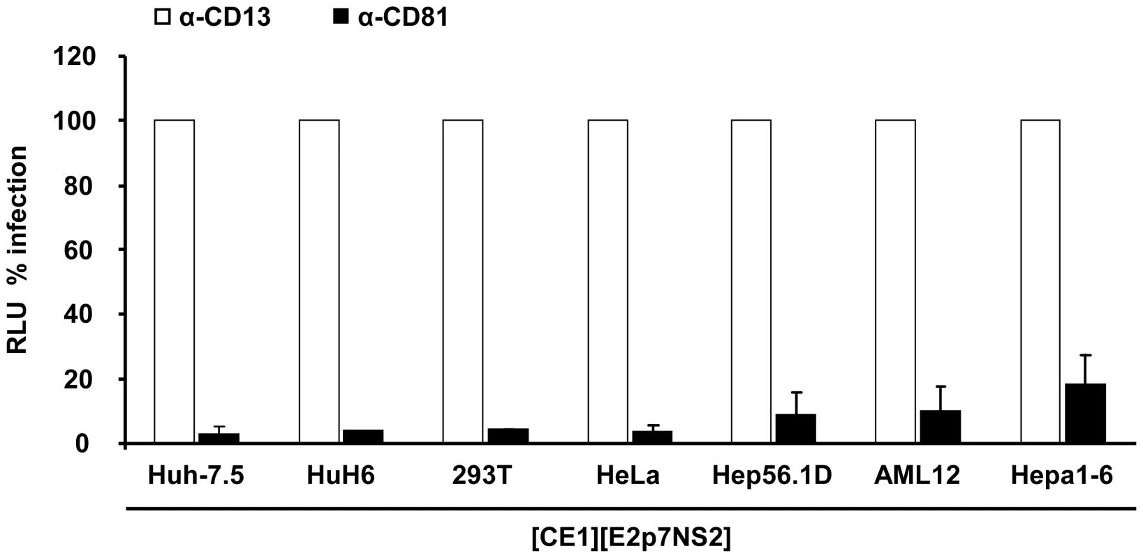 Neutralization of virus particles released from heterokaryons by CD81- specific antibodies.