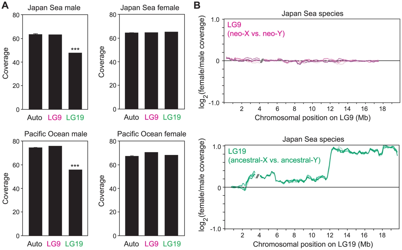 The absence of large-scale degeneration on the Japan Sea neo-Y chromosome.