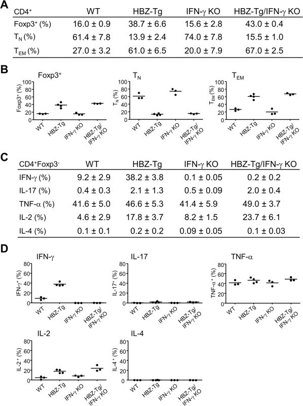 Comparison of T-cell subsets between HBZ-Tg and HBZ-Tg/IFN-γ KO mice.