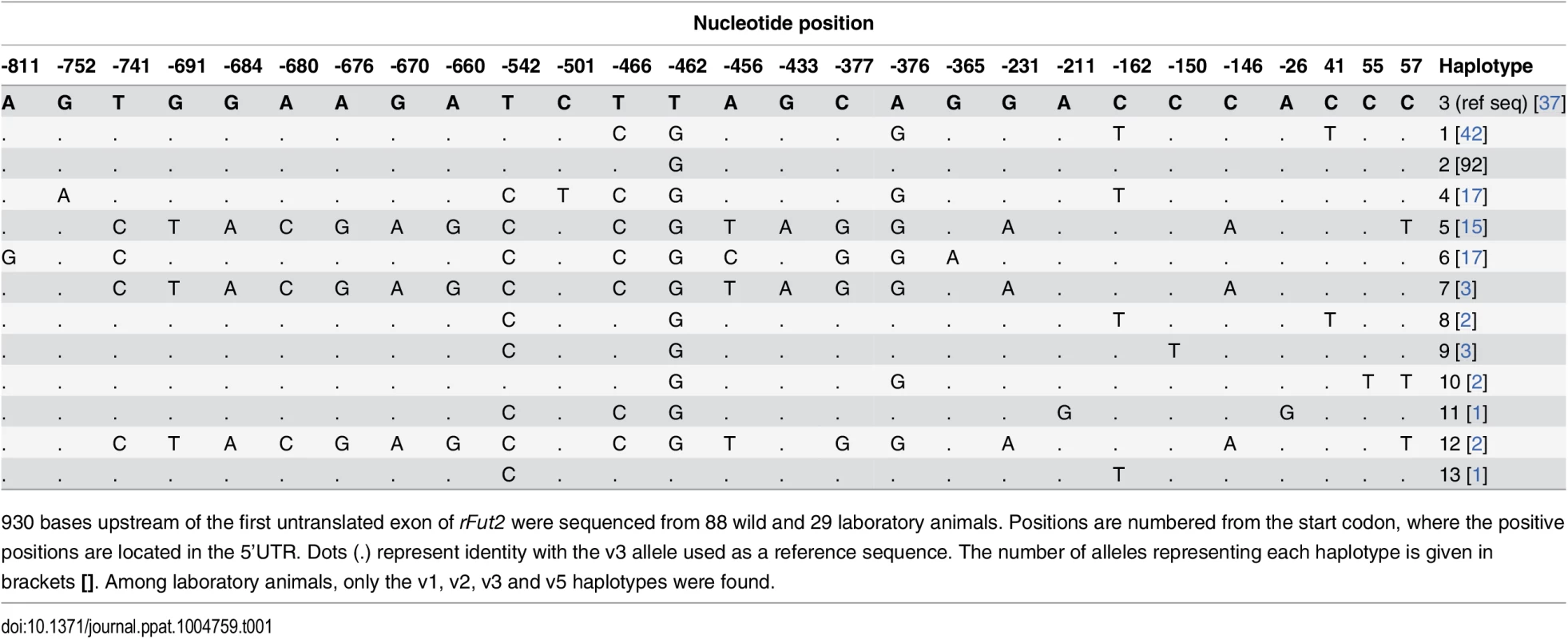 Nucleotide variation found in French wild and laboratory animals in the putative promoter region of rFut2 and inferred haplotypes.