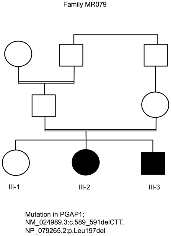 Pedigree of family MR079 and a PGAP1 mutation.