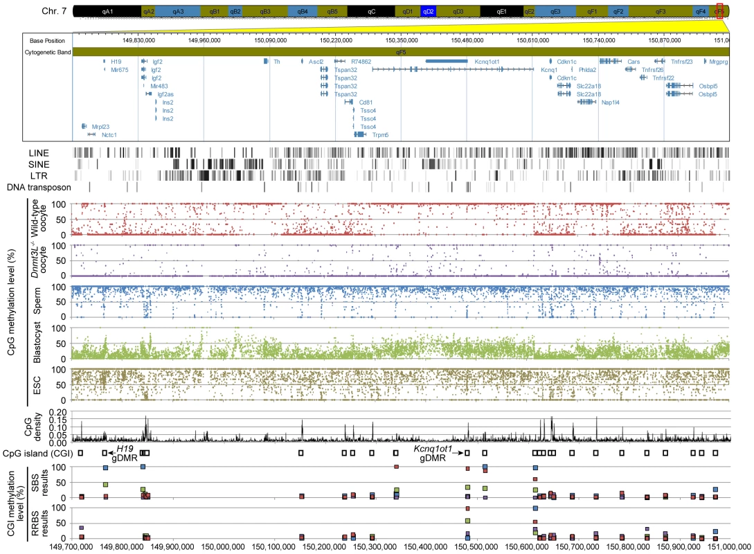 High-resolution DNA methylome map of mouse distal chromosome 7 imprinting cluster.