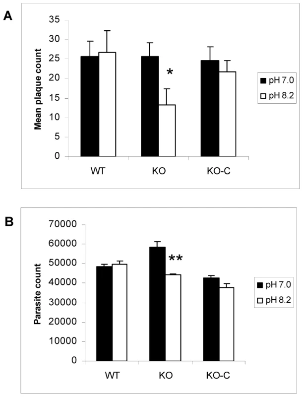 Parasites lacking TgGCN5-A are defective in recovering from alkaline stress.