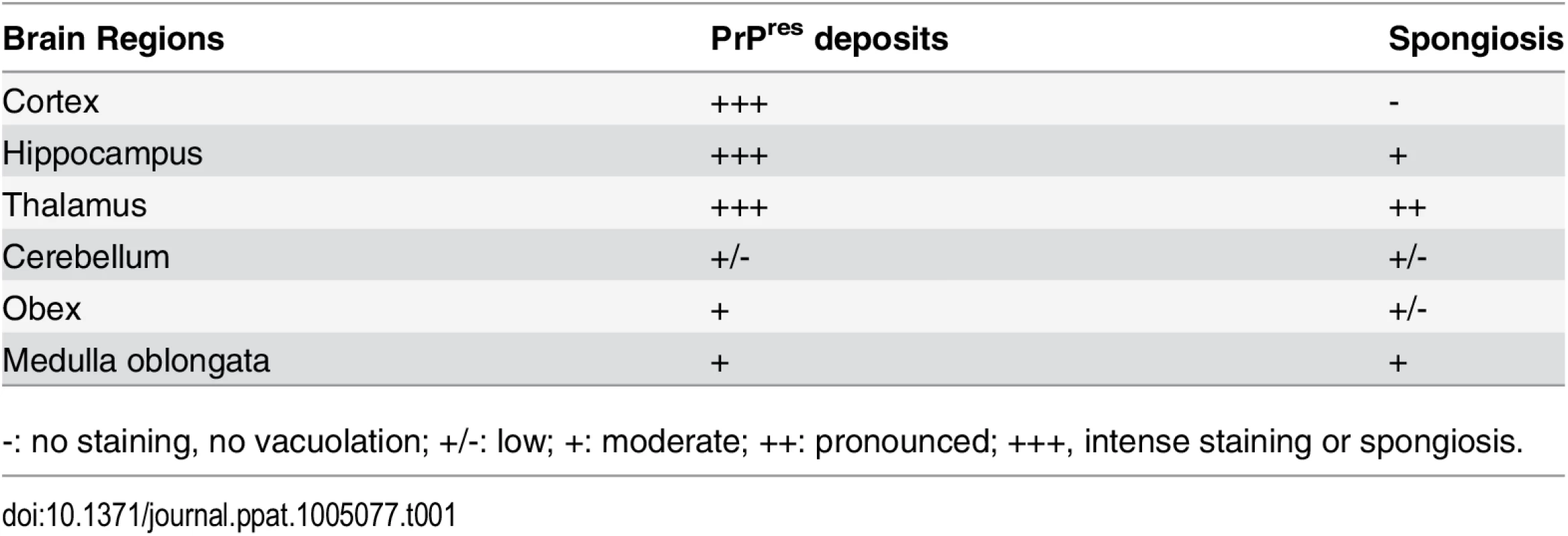 Regional distribution of PrP<sup>res</sup> and vacuolation in the brain of transgenic rabbits expressing ovine PrP challenged with LA21K <i>fast</i> prions.