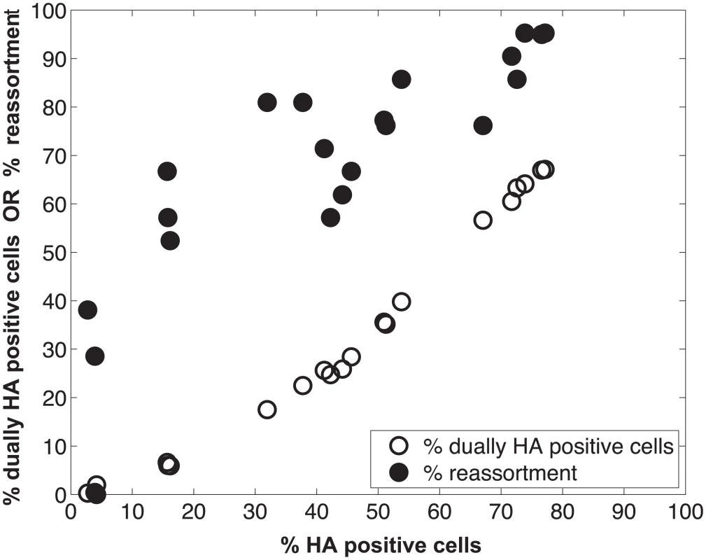 Measurement of HA positive cells, dually HA positive cells and reassortment following co-infection of MDCK cells with Pan/99wt and Pan/99var viruses.