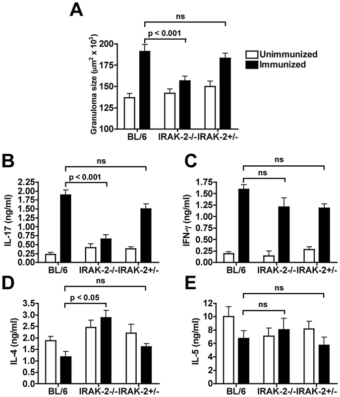 IRAK-2 mediates severe egg-induced immunopathology and CD4 T cell IL-17 production.