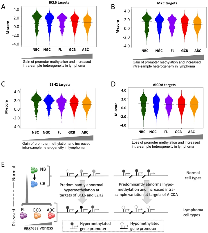Genomic localization of transcriptional regulators and AICDA associates with sites of aberrant DNA methylation.