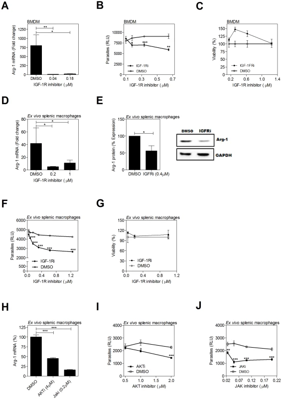 Inhibition of IGF-1R signaling decreases arg1 expression and parasite burden in <i>L. donovani</i> infected macrophages.