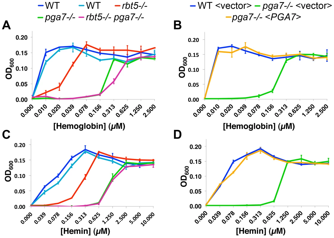 Pga7 plays a central role in heme and hemoglobin-iron utilization in <i>C. albicans</i>.