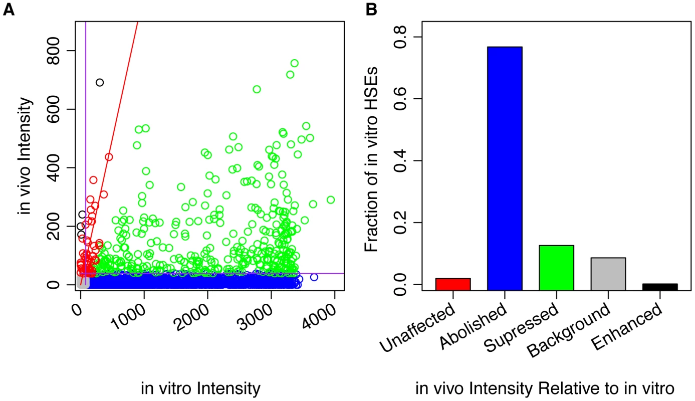 In vitro and in vivo binding of HSF to genomic HSEs do not correlate.