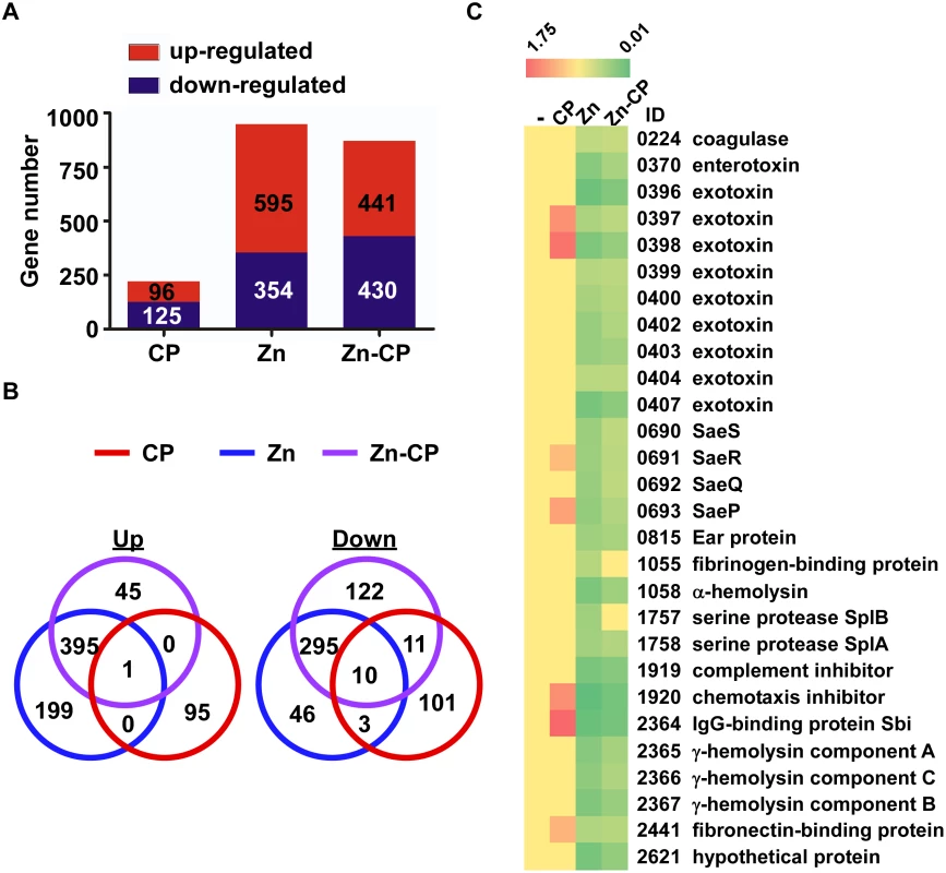 RNA-seq analysis of the effect of CP, Zn and Zn-CP on staphylococcal transcriptome.