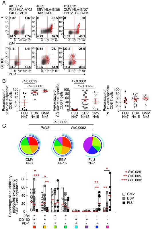 EBV and CMV-specific CD8 T cells express significantly more CD160 than Flu-specific CD8 T cells.