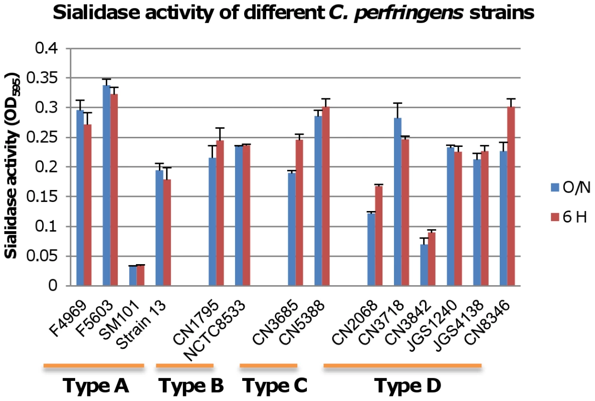 Sialidase activity in different type <i>C. perfringens</i> strains.