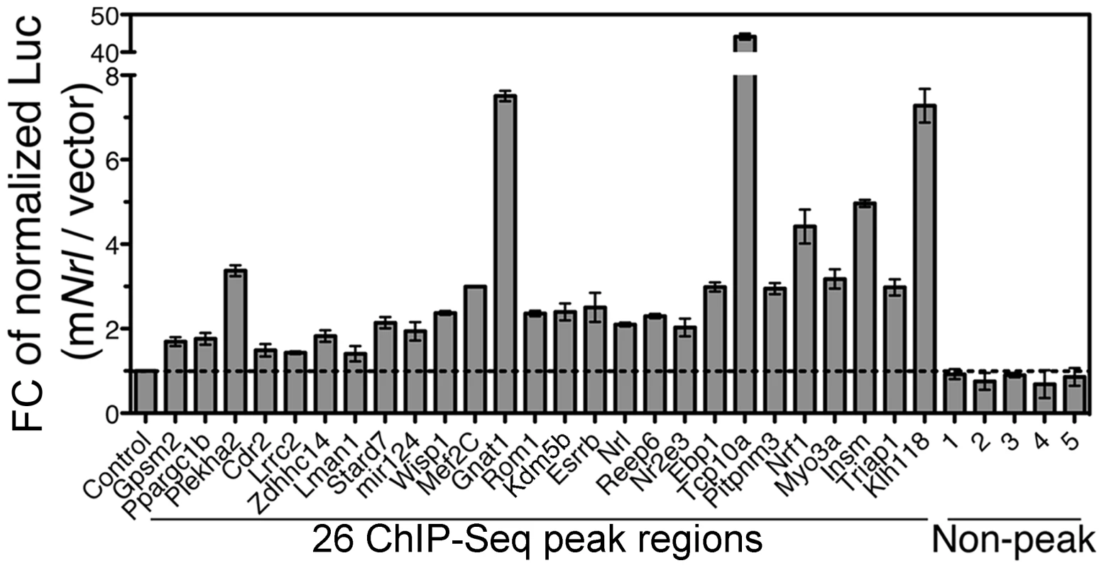Enhancer function of NRL ChIP–Seq regions in transfected HEK293T cells.