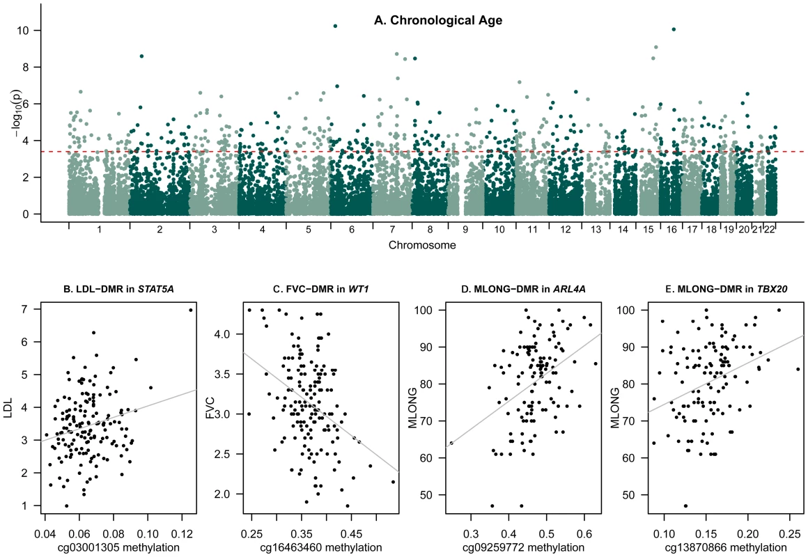 Epigenome-wide association scans of age and age-related phenotypes.