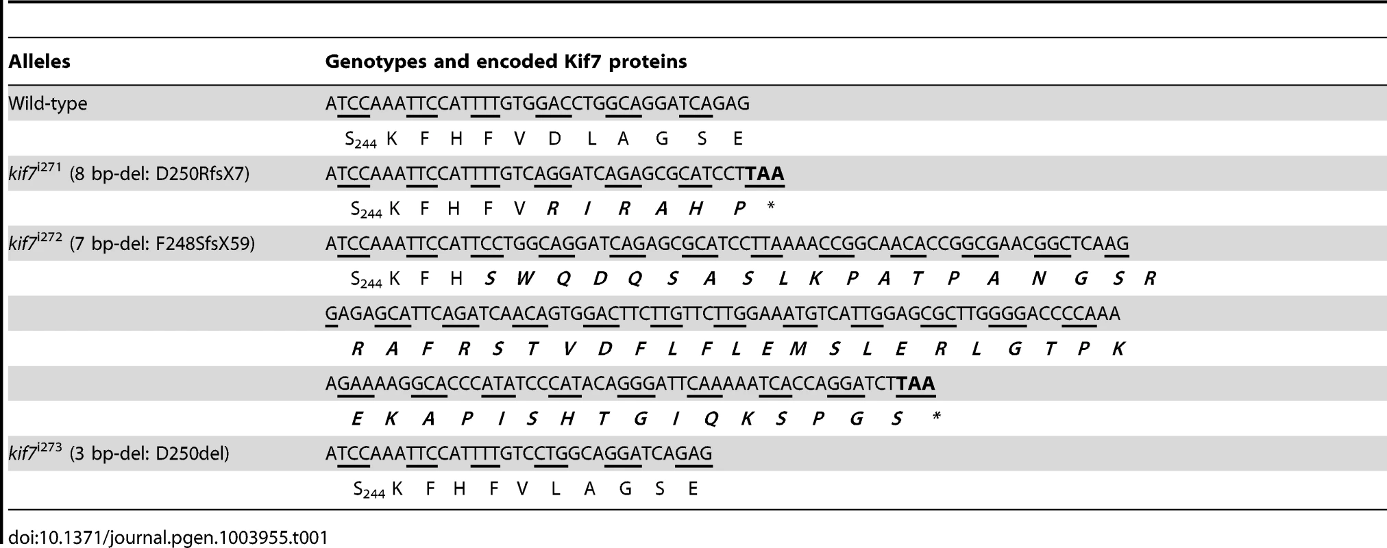 Alleles and translational products of zebrafish &lt;i&gt;kif7&lt;/i&gt; mutants generated with CompoZ ZFN.