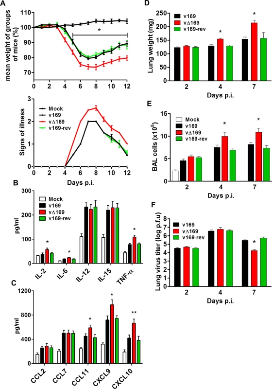 Protein 169 affects VACV virulence in the intranasal model of infection.