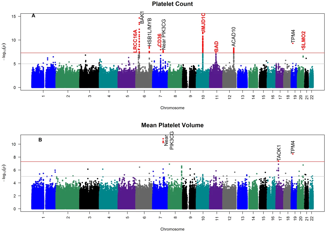 Manhattan plot of the genome-wide association results for meta-analysis.