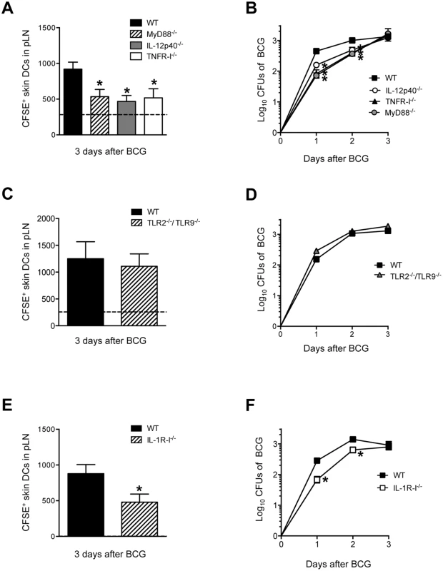 MyD88, IL-12p40, TNFR-I and IL-1R-I regulate entry of skin DCs and BCG into DLN.