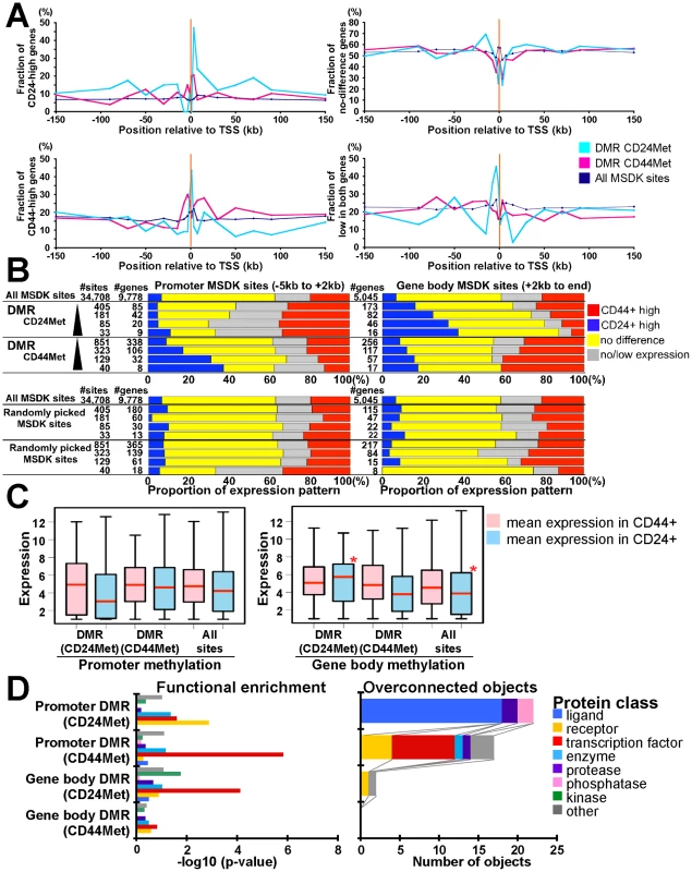 Combined view of DNA methylation and gene expression patterns.