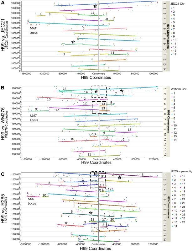 Genome comparisons between H99 and other <i>Cryptococcus neoformans</i> (JEC21 - A) and <i>Cryptococcus gattii</i> (WM276 - B and R265- C) strains.