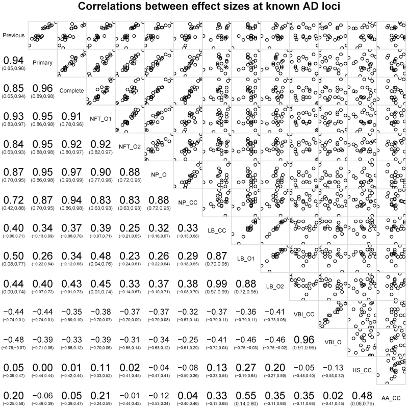 Correlations of OR for known AD risk loci and the neuropathology phenotypes.