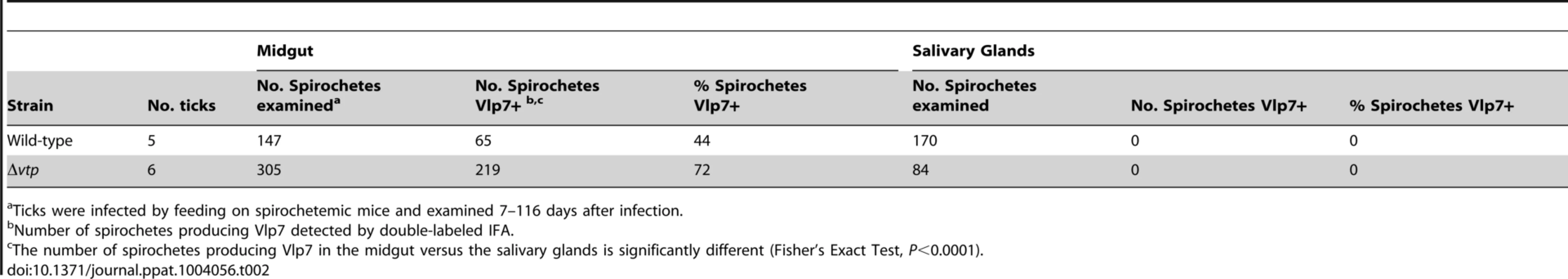 Percent <i>Borrelia hermsii</i> Vlp7+ in tick midgut and salivary glands.