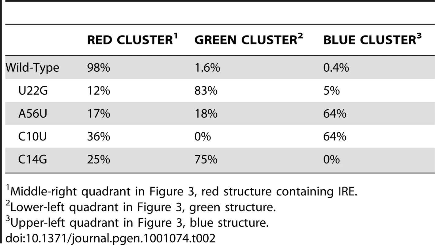 Relative population of the three structural clusters for the FTL 5′ UTR.