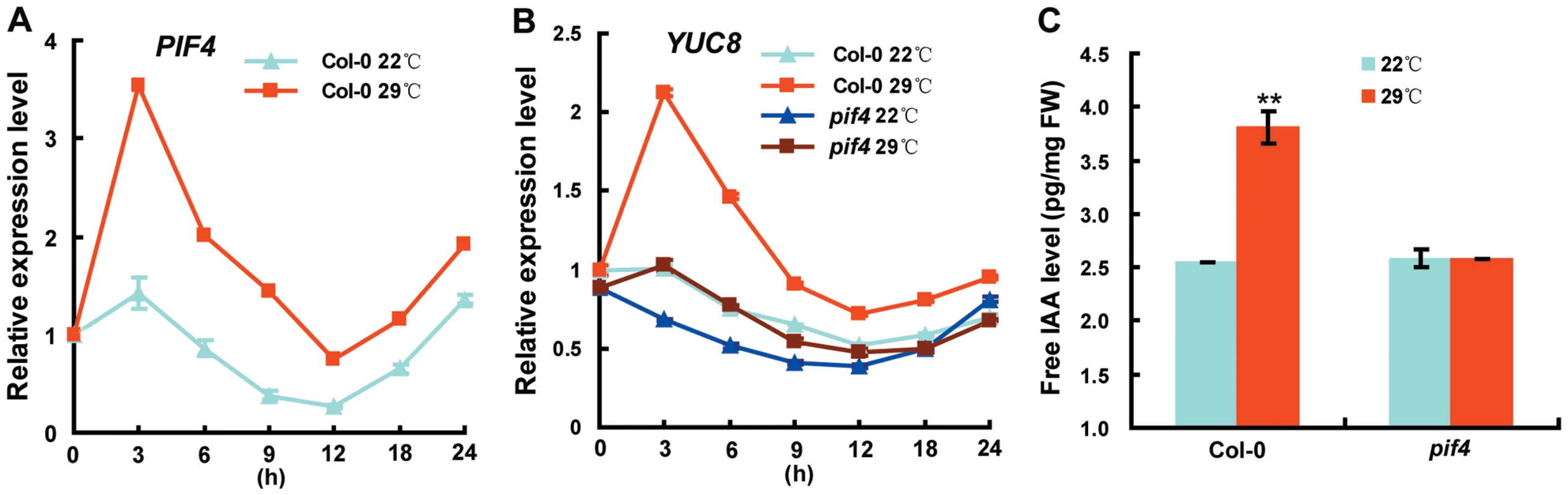 Loss of PIF4 Function Disrupts the High Temperature–Induced Elevation of <i>YUC8</i> Transcripts and Free IAA Levels.