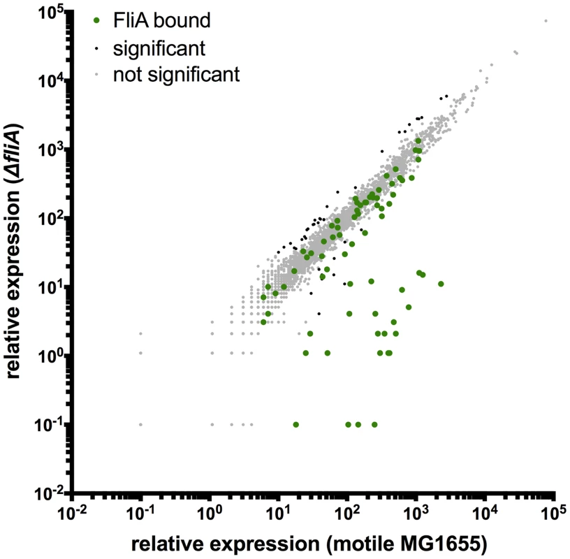 Genome-wide FliA-dependent gene expression.